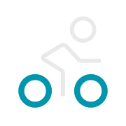 Electric bike torque vasik
