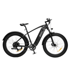 DYU King 750 Electric Bike Ireland