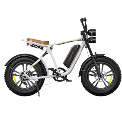 ENGWE M20 Bici Elettrica Italia