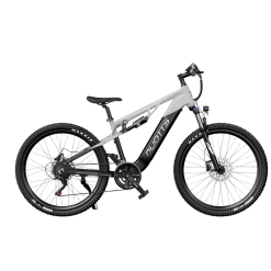 duotts-e29-electric-bike-ireland