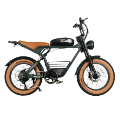 SAMEBIKE M20 Bici Elettrica Italia