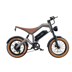DYU-M20-Electric-Bike-Ireland
