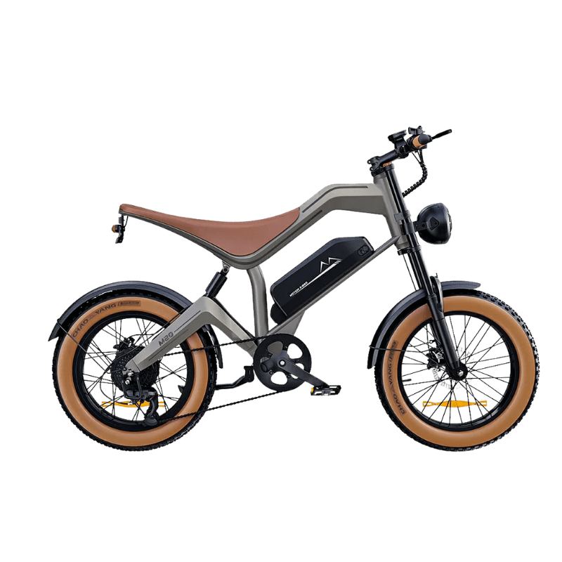 DYU M20