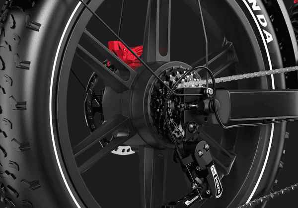 DUOTTS-F20-Electric-Bike