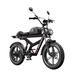 DUOTTS-F20-Electric-Bike-