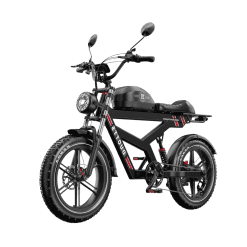 DUOTTS-F20-Electric-Bike-