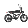DUOTTS F-20 E-Bike Deutschland