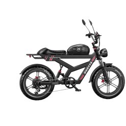 DUOTTS-F20-Electric-Bike