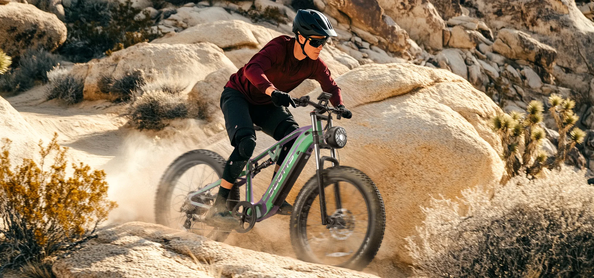 electric-bike-vasik-duotts-e26-promo-image