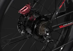 DUOTTS S-26 Vélo Électrique — écran et marque