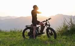 DUOTTS S-26 Ebike Ireland